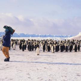 TVNZ filming Emperor Penguins at Cape Crozier Don Anderson and Max Quinn