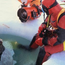 Divers meet a seal at an ice hole