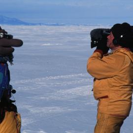 Thingee in Antarctica 