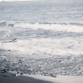 Adelie Penguin Surfing at Foyn Island
