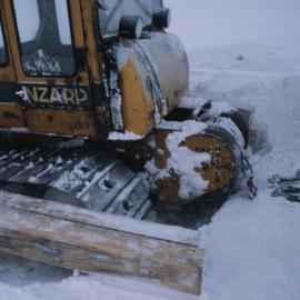 Rear view of D4 in rat's Crack