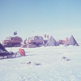 Snocat & Dog team party 