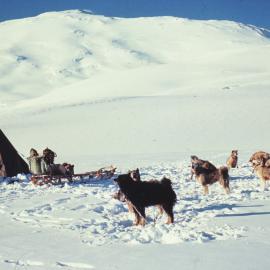 Mount Erebus Expedition 