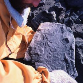 Russell Korsch with 200 Million Year Old Fossils From Shapeless Mountain