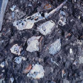 Detail of Fish Bed on Mount Metschel