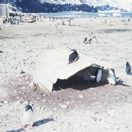 Whaleboat remains- Borchgrevink 's Hut