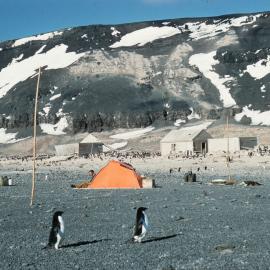 Campbell's & Borchgrevink's Huts 