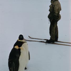 Skier Meets Two Curious Emperors