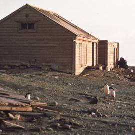 Borchgrevink's Huts 