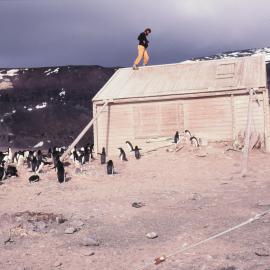 Skerten walking on hut roof 