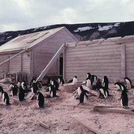 Huts prior towards being started 