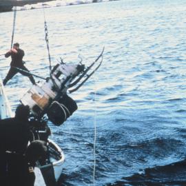 Loading Tractor on the Endeavour