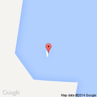 Penguin Beach