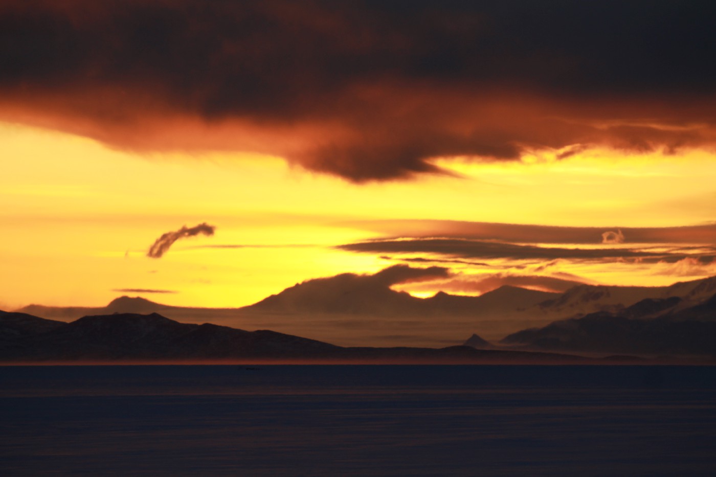 Week Three - Another week of amazing opportunities and chances to see things you will only see in the Antarctic